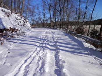 A bit of snow on a cold windy day