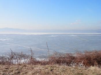 View of river after bird quickly flew away