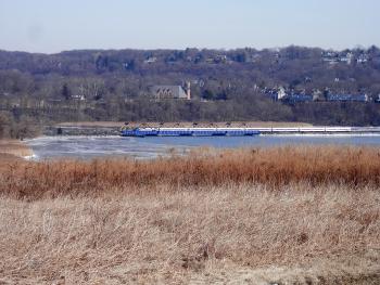 View towards Ossining from hilltop at Croton Point Park.