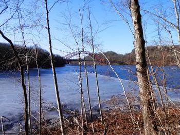 Swans in New Croton Reservoir, Amvets Memorial Bridge in distance.