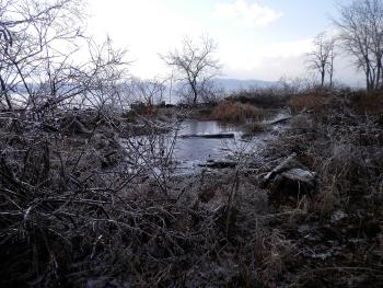 Icy view at Croton Landing Park.