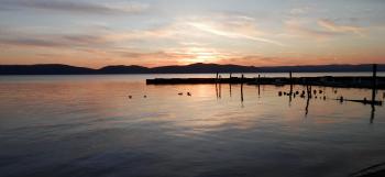 Canadian Geese on Hudson River, near Croton Yacht Club.