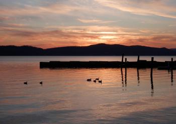 Canadian Geese on Hudson River, near Croton Yacht Club.