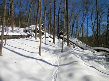 Animal tracks along Overlook ascent. © 2015 Peter Wetzel