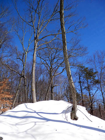 Still climbing Overlook. © 2015 Peter Wetzel