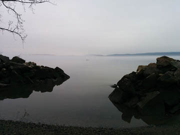 Croton Landing Park © 2017 Peter Wetzel.