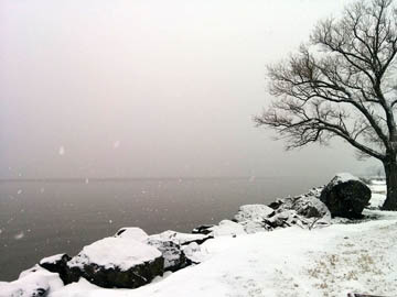 Croton Landing Park © 2017 Peter Wetzel.