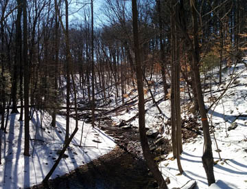 Stream leading into New Croton Reservoir © 2017 Peter Wetzel.