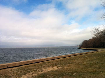 Croton Point Park, sunny direction © 2017 Peter Wetzel.