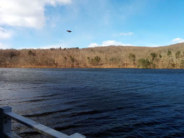 New Croton Reservoir on a windy day © 2017 Peter Wetzel.