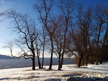 Croton Point Park © 2017 Peter Wetzel.