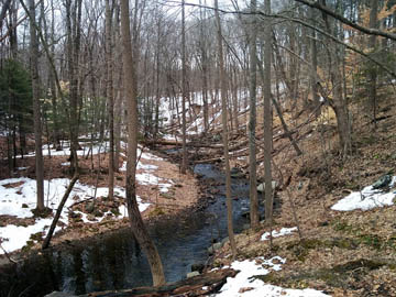 Stream feeding New Croton Reservoir © 2017 Peter Wetzel.