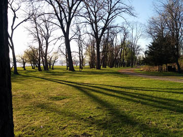 Green grass at Croton Point Park © 2017 Peter Wetzel.