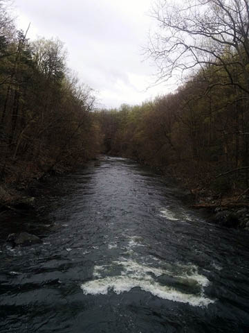 Croton River, looking downstream © 2017 Peter Wetzel.