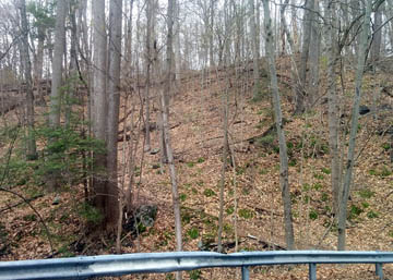 Quaker Bridge Trail, short single track connector © 2017 Peter Wetzel.